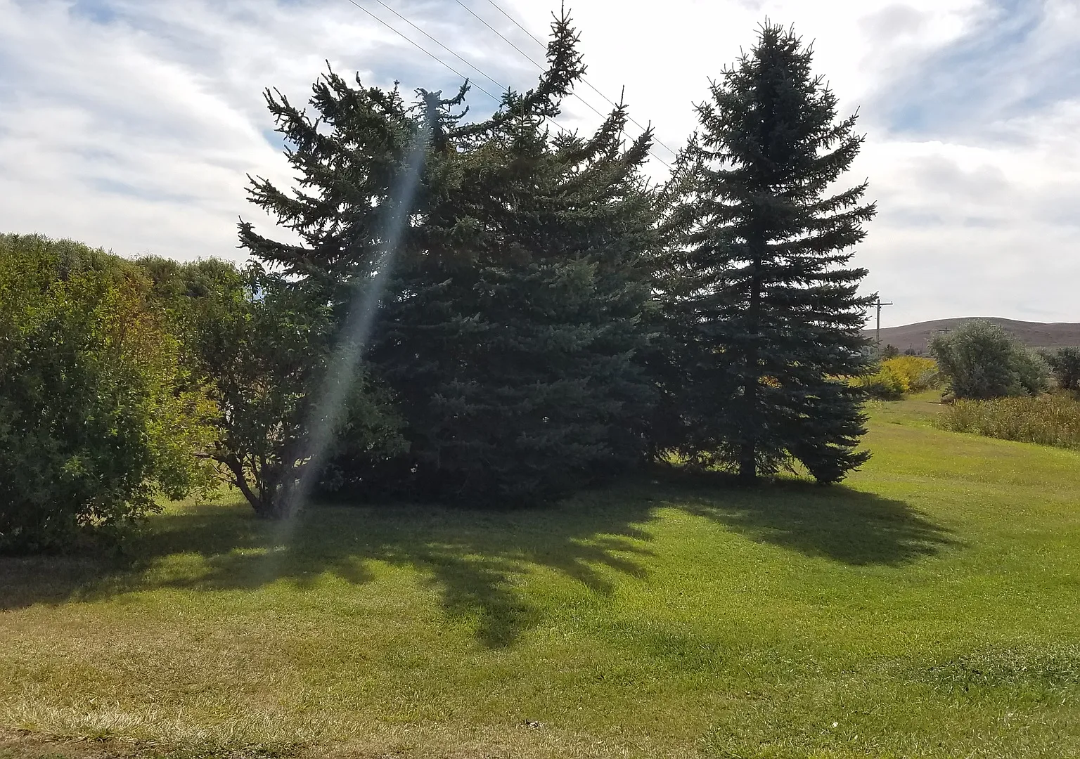 Gingras Springs — Photo 3