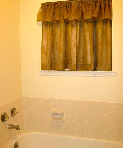 Master Bath Tub