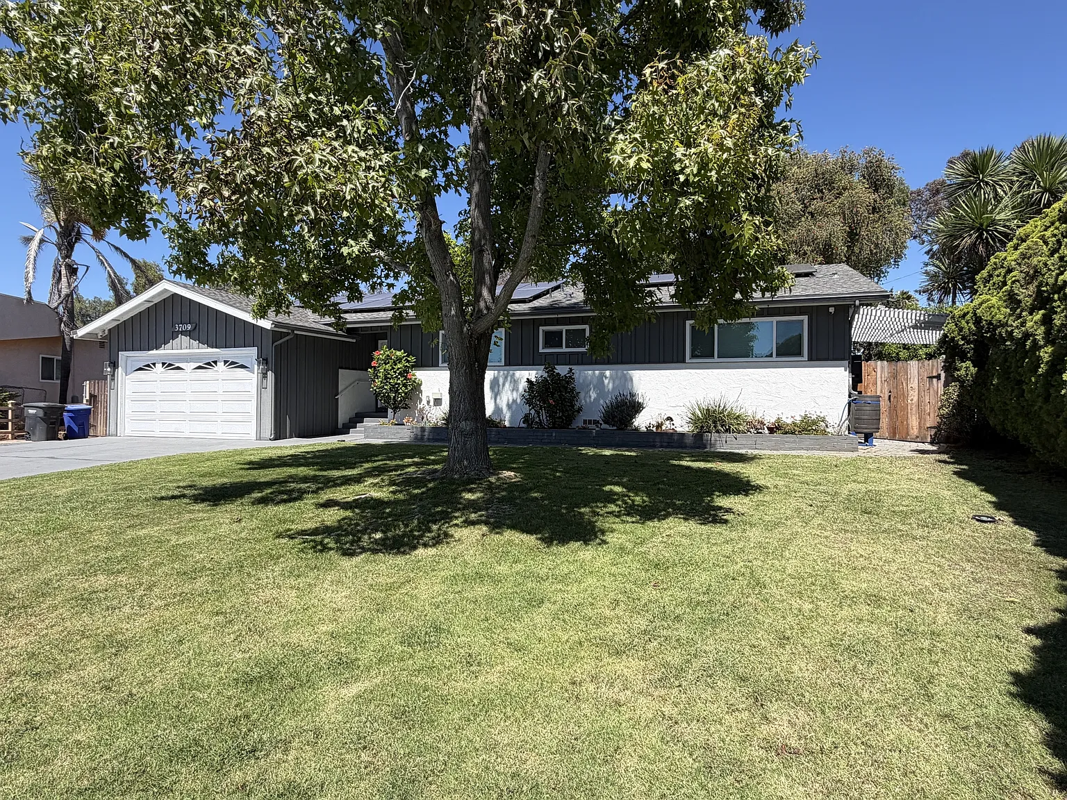 3709 Avenida Palo Verde - - — Photo 2