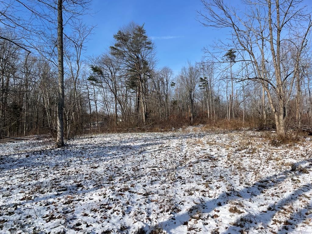 Real estate listing image