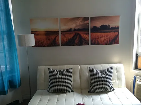 Rented by Big Apple Living | media 27