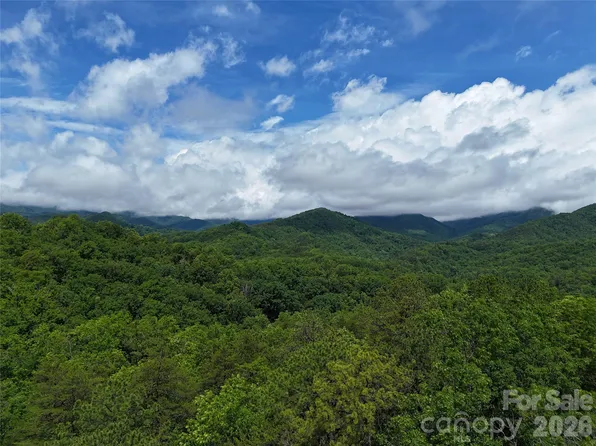 83 Shanty Town Rd, Old Fort, NC 28762
