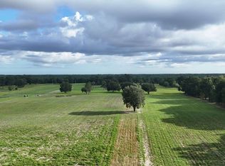 Tbd Sw Wilson Springs Rd, Fort White, FL 32038