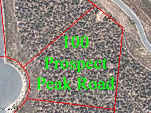 100 Prospect Peak Rd, Eagle, CO 81631