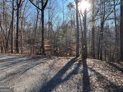 LOT 1014 Gibe Ct, Ellijay, GA, 30540