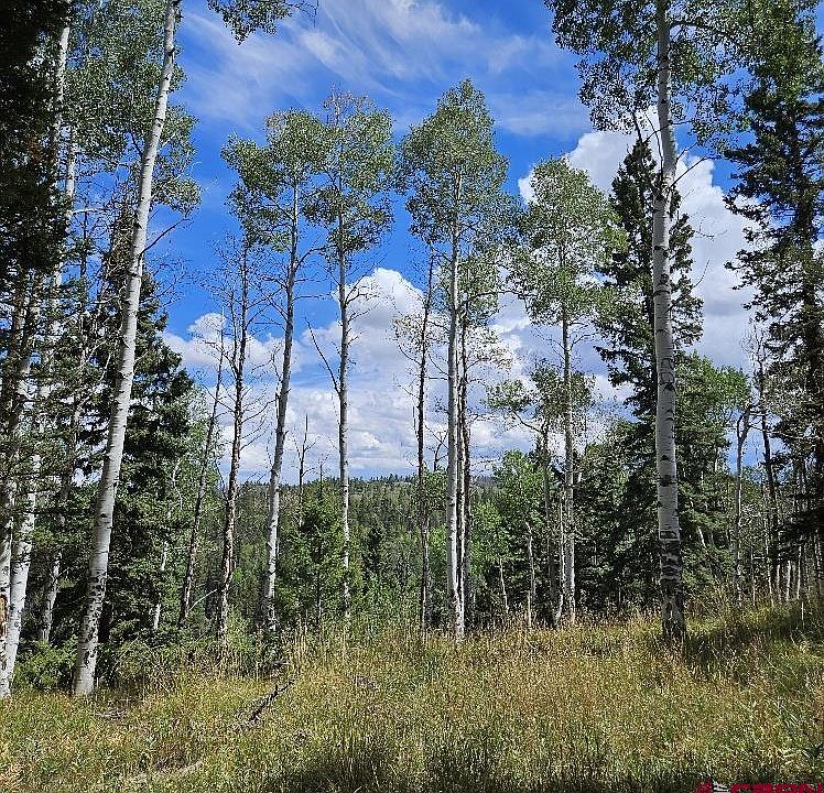1st image of 604 Snowshoe Lane