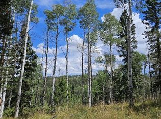 604 Snowshoe Lane, Cimarron, CO 81220