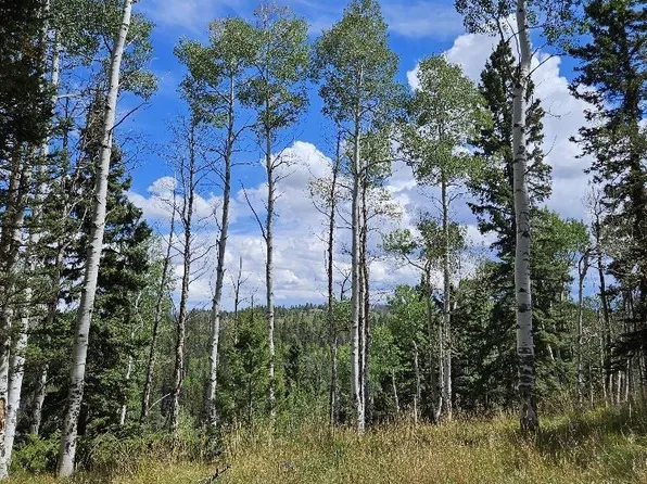 604 Snowshoe Lane, Cimarron, CO 81220