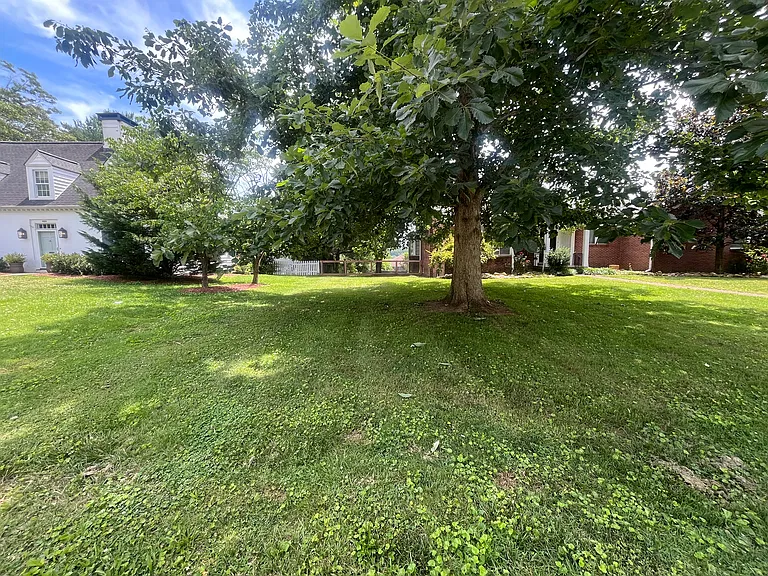 1024 Sterling Ave — Photo 53