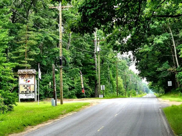 W Eleven Mile Rd, Bitely, MI 49309