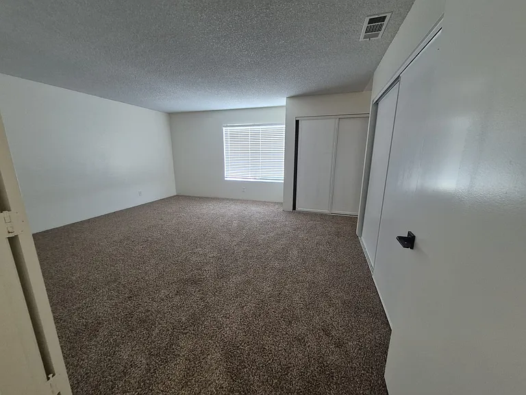 Tiger Ln — Photo 17