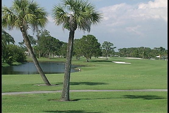 View across the pond