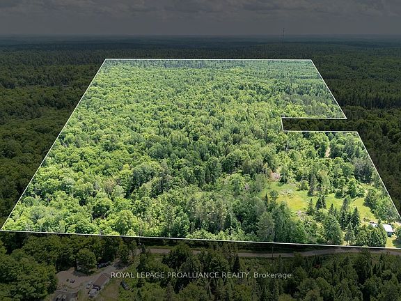 2nd image of 273 Tower Rd
