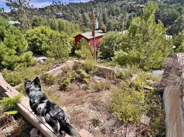 12773 N Phoenix Ave #4&5, Mount Lemmon, AZ 85619