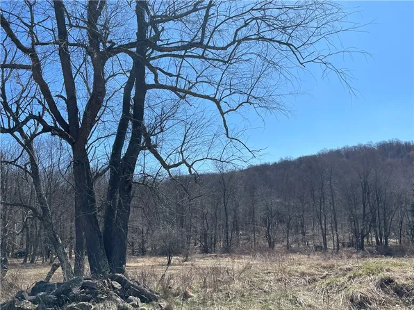 0 Sunflower Ln, Homer City, PA 15748