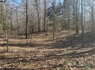 Minch Ave, Mears, MI 49436