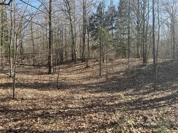 Minch Ave, Mears, MI 49436