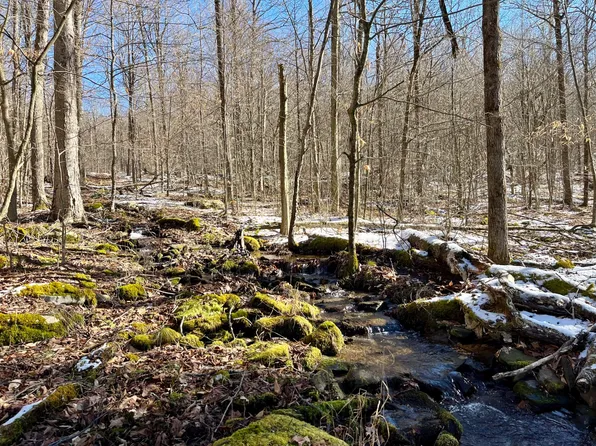 0 Hummingbird, Hancock, NY 13783