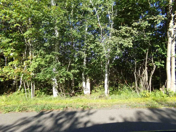 7581 S Marsik Rd Lot 4, Lake Nebagamon, WI 54849