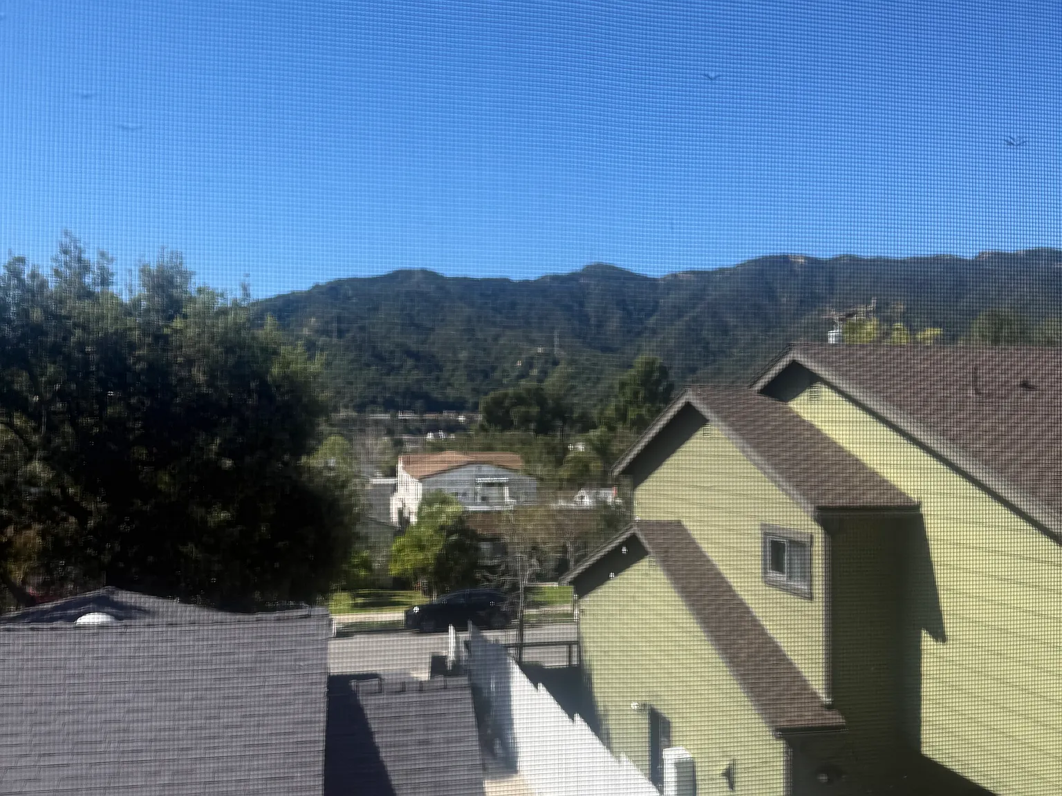 1 bed, 650 sqft, $1,950 — Photo 4