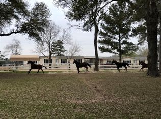 26411 Dobbin Hufsmith Rd, Magnolia, TX 77354