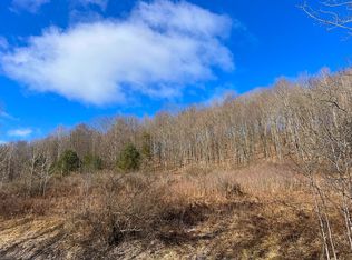 5252 Wagner Hill Rd, Avoca, NY 14809