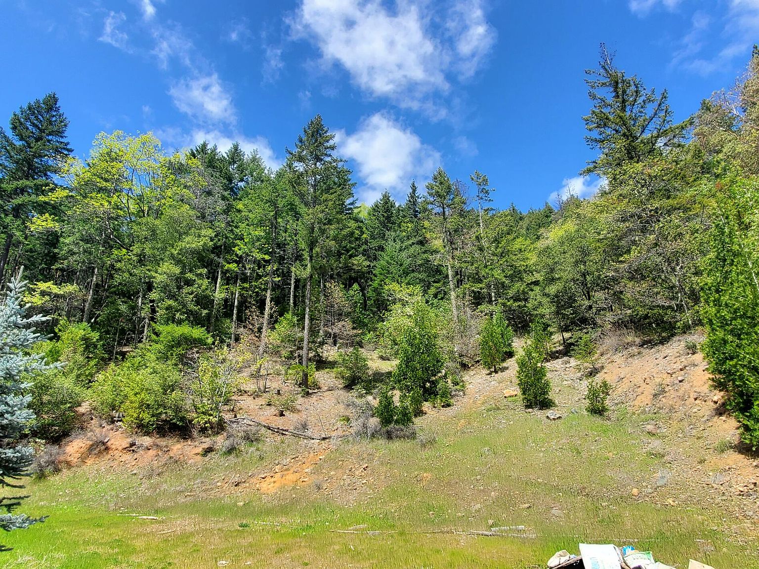 1430 Forest Creek Rd, Selma, OR 97538 MLS 220144429 Zillow