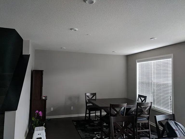 Great room ( but used as dining area)