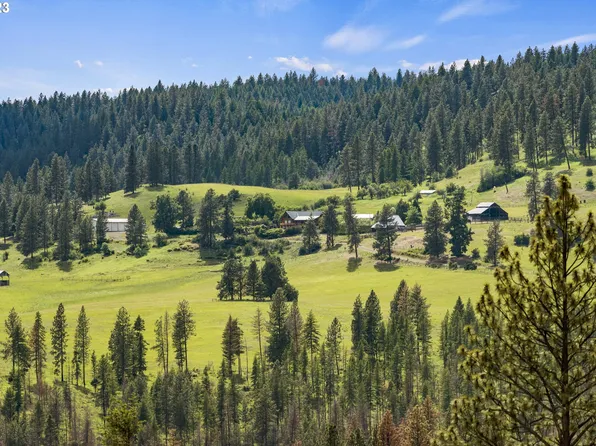 71919 Eden Ln, Enterprise, OR 97828