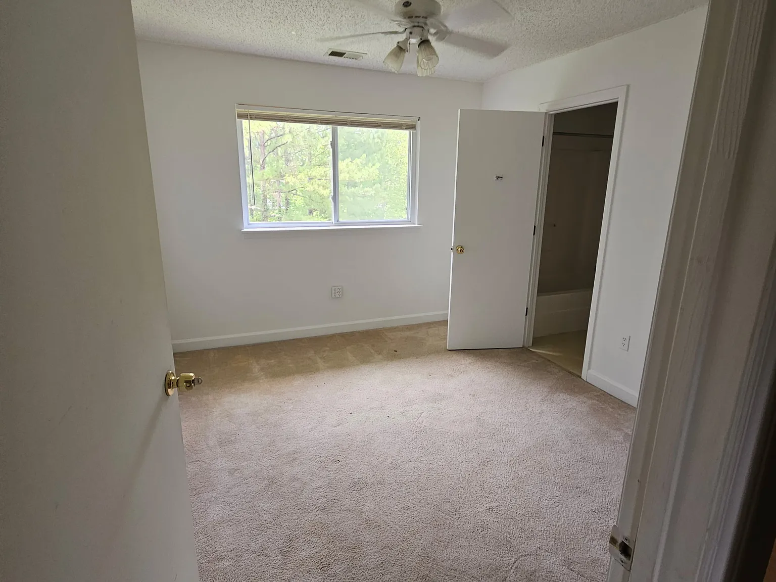 303 Smith Level Road — Photo 3