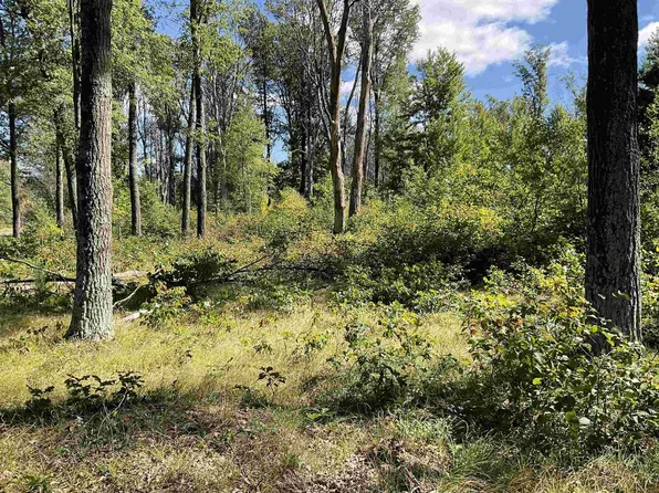 Lot 67 10th STREET #67, Necedah, WI 54646