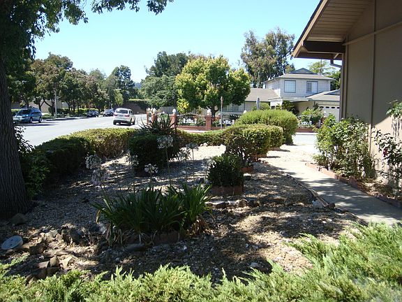 4th image of 3384 Los Prados St