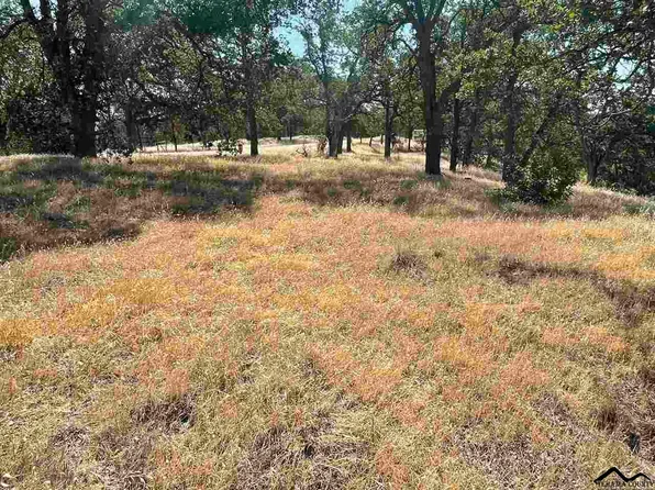 17065 Fawn Ln, Corning, CA 96021