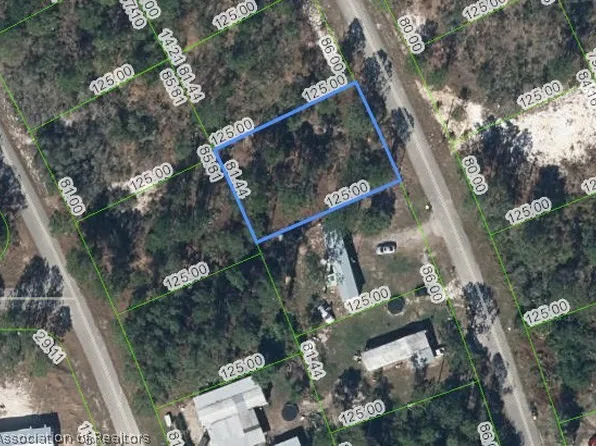 124 Sunflower Dr, Lake Placid, FL 33852