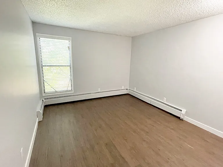 115 Spruce St — Photo 15