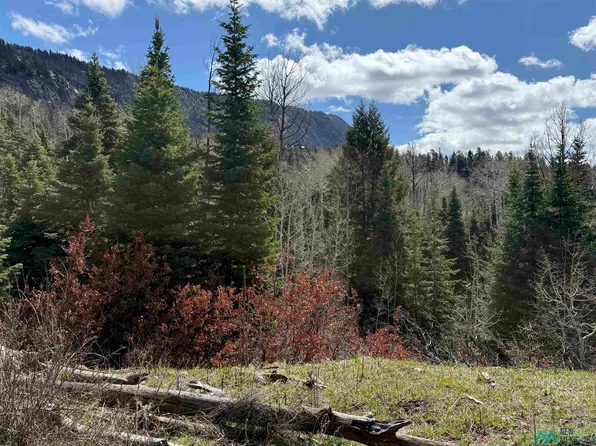 0 Canyons End Rd, Chama, NM 87520