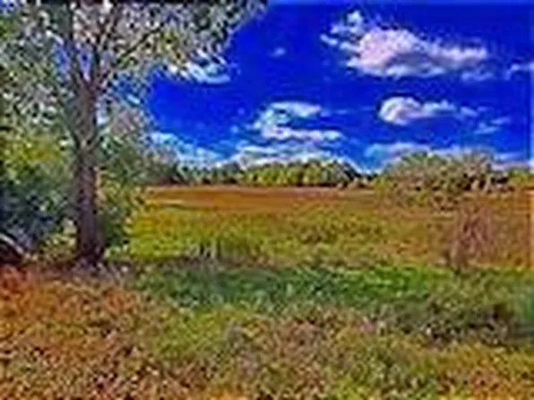 17 Austin Rd, Manchester, MI 48158