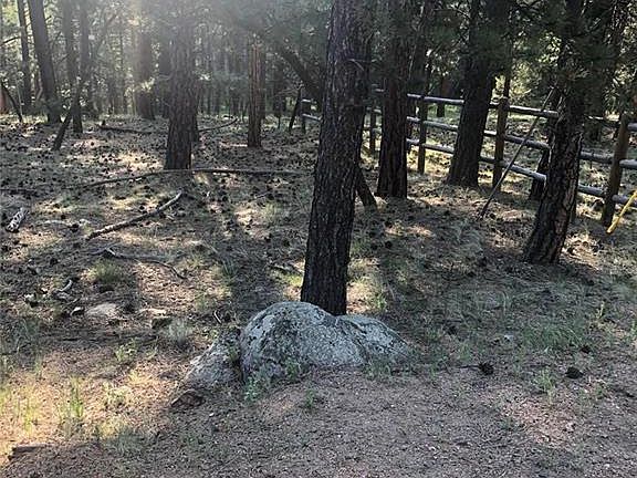 4th image of 469 Echo Lake Dr