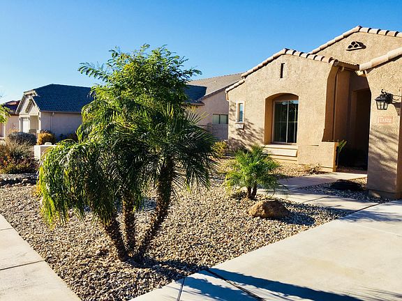  Low maintenance desert landscaping !
