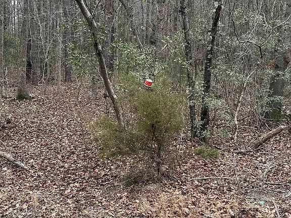 3rd image of 1644 Pincushion Rd
