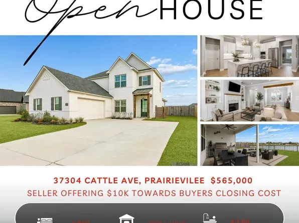 37304 Cattle Ave, Prairieville, LA 70769
