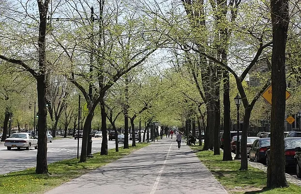 Rented by Hagstrom Management Inc | media 5