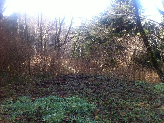1st image of NE 22nd Ave