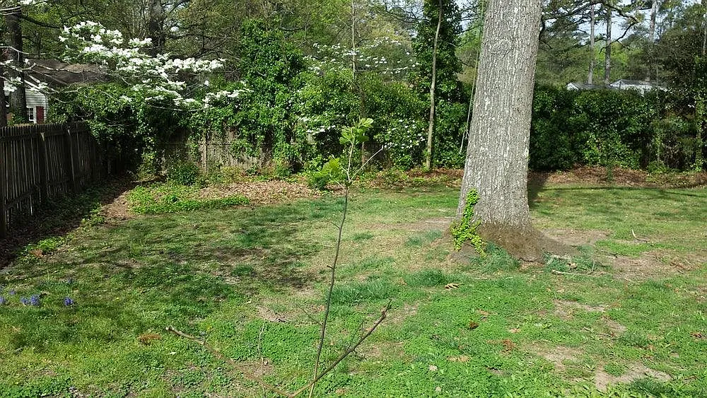 410 S Harrison Avenue — Photo 4