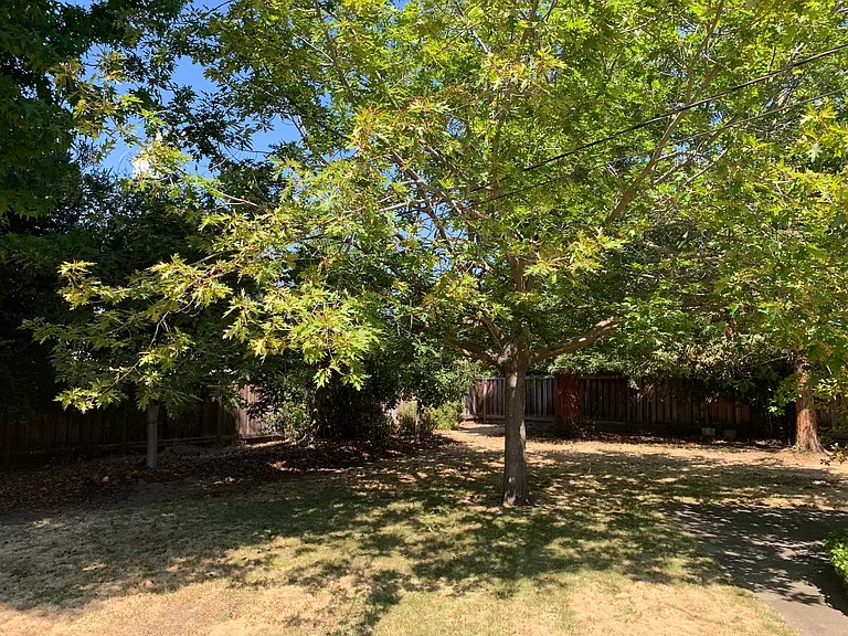 40156 Windsor Ct — Photo 12