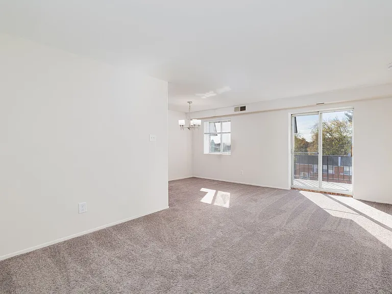 Lindenwood Apartments — Photo 8