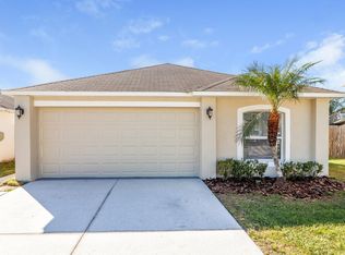 6241 Perdita Ct, Wesley Chapel, FL 33545