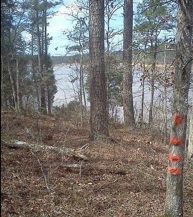 5th image of Block 1 Savannah Pt Lot 17