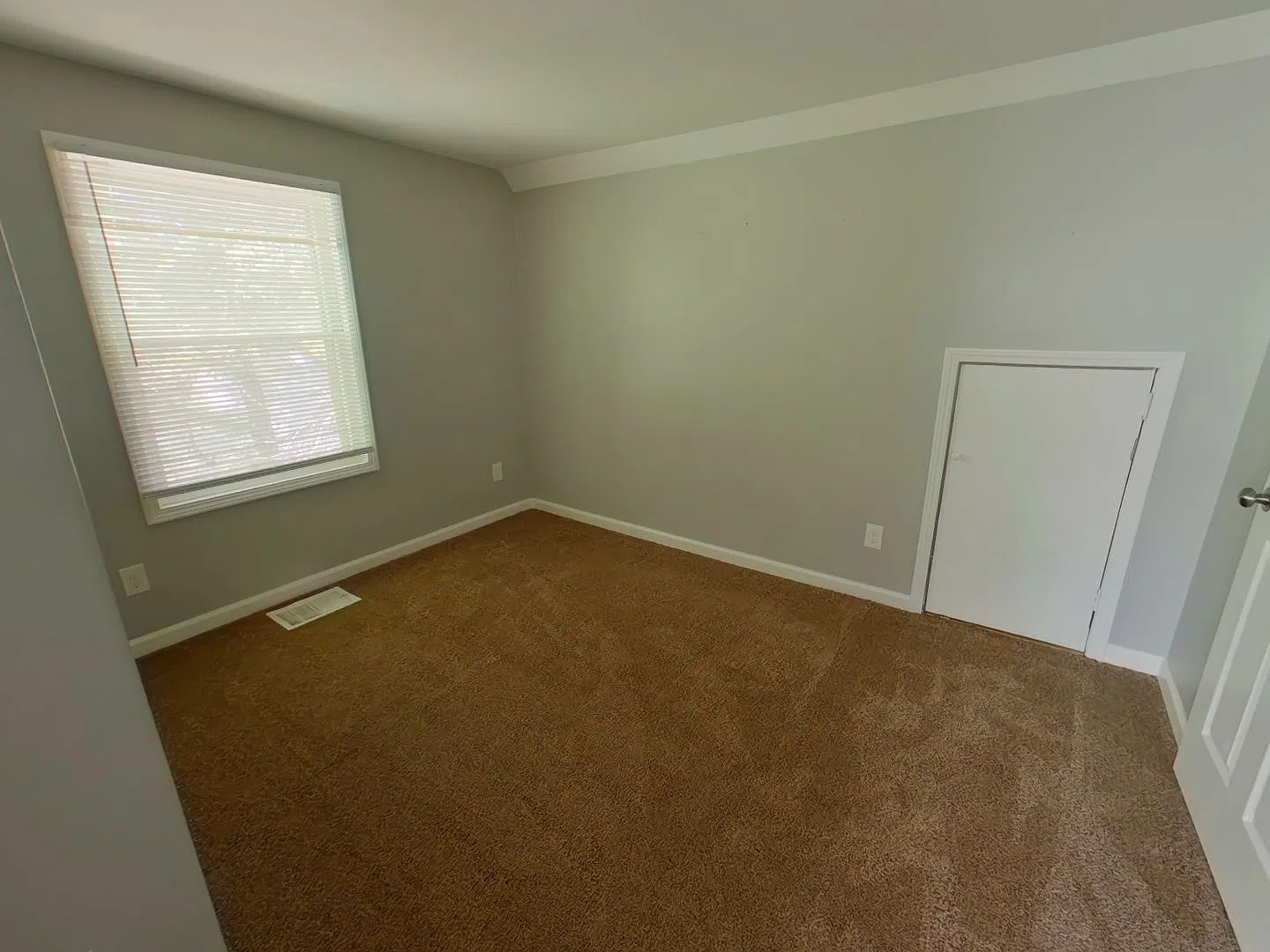 2833 Ellen — Photo 3