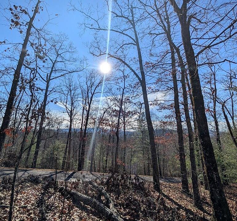 1st image of 31 Tower Falls Ln